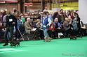 Crufts2011_2 782